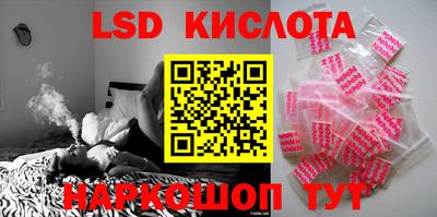 винт Можга
