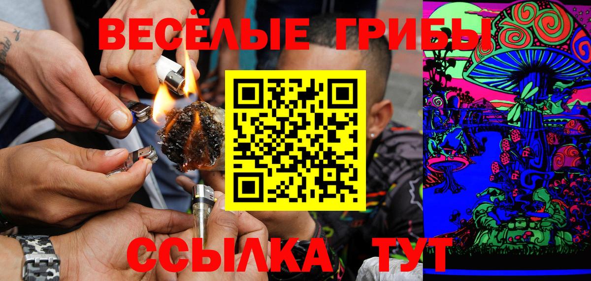 Псилоцибиновые грибы Psilocybe  Вход с VPN  Псилоцибиновые грибы Cubensis  Омск 