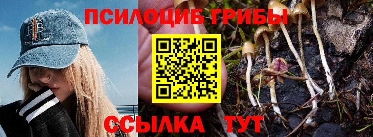 Псилоцибиновые грибы мухоморы Омск